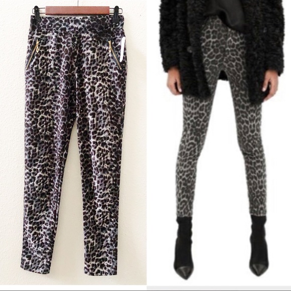 Pants - Leopard Animal Print Leggings